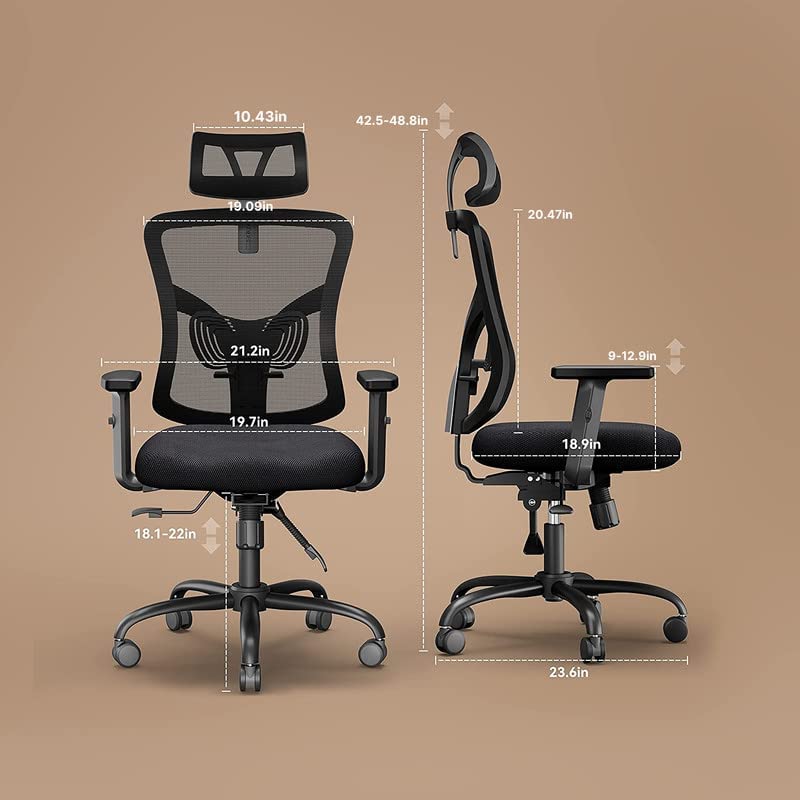 Classic & Economy Ergonomic Office Chair