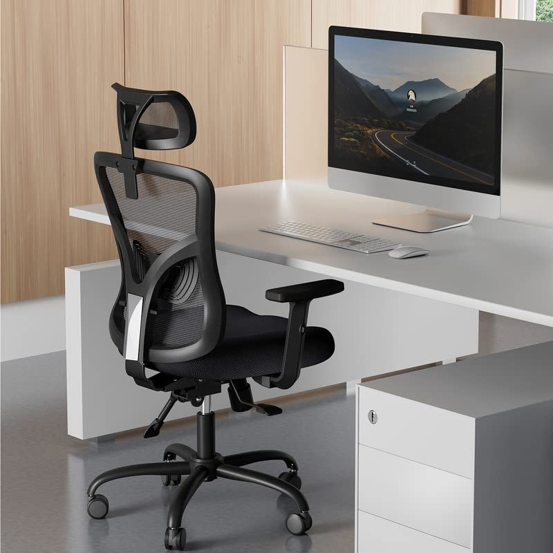Classic & Economy Ergonomic Office Chair